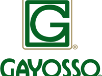 gayosso-logo-793C7DFD2F-seeklogo.com
